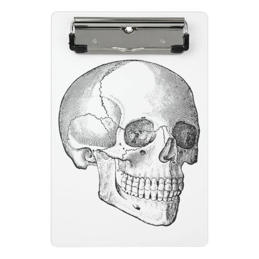 Medische anatomie schedel  arts tekening mini klembord (Voorkant)