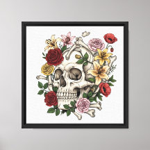  medische anatomie schedelbloem
