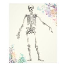  medische anatomie skelet bloemendiagram