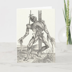 Medische de Anatomie van het Lijk van het Aas van Kaart