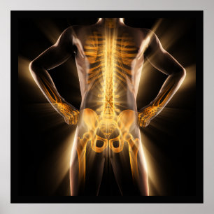 Medische gloeiende radiografie scan Menselijke Bot Poster