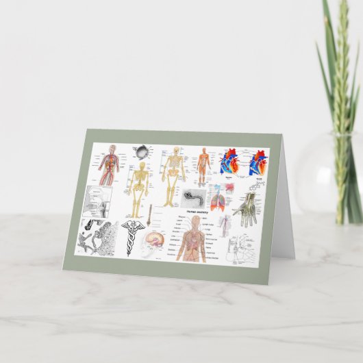 Medische grafieken in full color kaart (Voorkant)