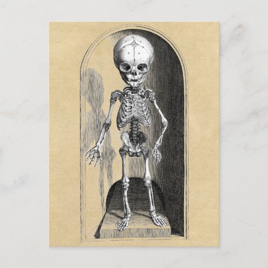 Medische illustratie Bidloo (voorzijde) Briefkaart (Voorkant)