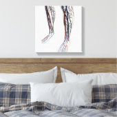 Medische illustratie van de slagaders 3 canvas afdruk (Insitu (Slaapkamer))