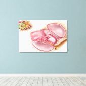 Medische illustratie van Endolymfe Canvas Afdruk (Insitu (Houten vloer))