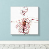 Medische illustratie van het circuitsysteem van he canvas afdruk (Insitu (Houten vloer))