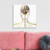 Medische illustratie van het menselijk zenuwstelse canvas afdruk (Insitu (Woonkamer))