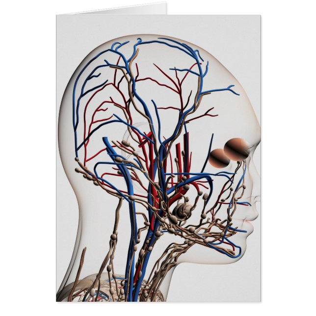 Medische illustratie van hoofdletsels 1 (Voorkant)