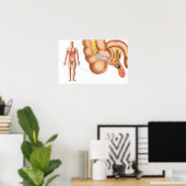 Medische isolatie van een aanhangsel poster (Thuiskantoor)
