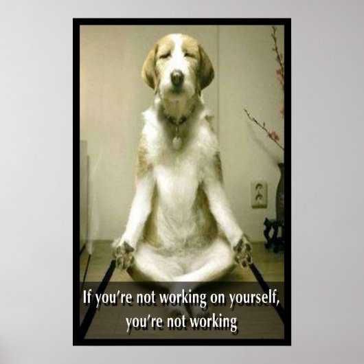 Meditatie Dog Poster (Voorkant)