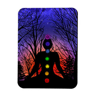 Meditatie en de bomen op een sterrenavond om 's na magneet