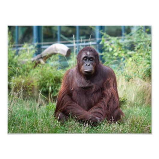 Meditatie Foto Afdruk (Voorkant)