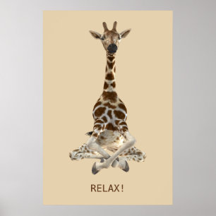 Meditatie Giraffe Poster