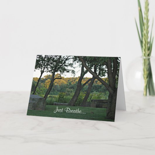 Meditatie in de Weide Kaart (Voorkant)