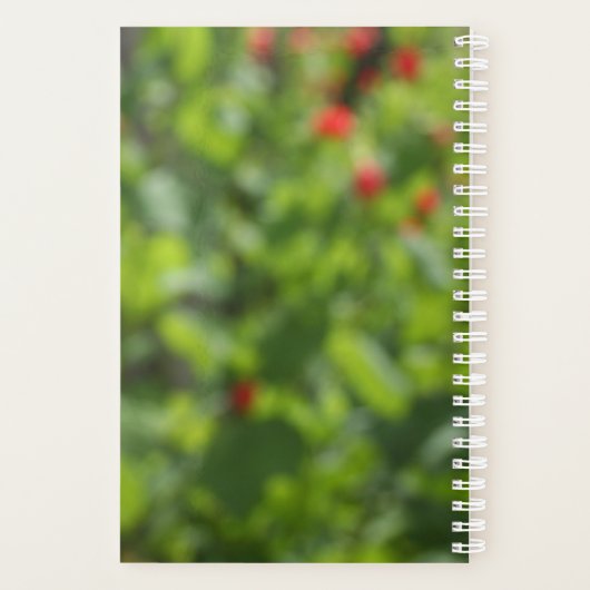 Méditer Bouddha (Dos)