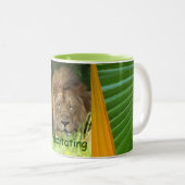 Méditer la tasse (Devant droit)