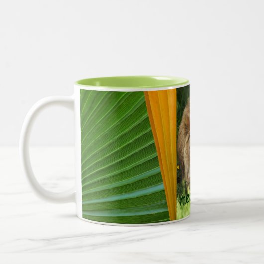 Méditer la tasse (Gauche)