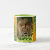 Mediterende mok (Center)