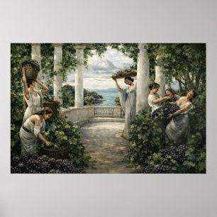 Mediterrane druivenoogst in wijngaard poster