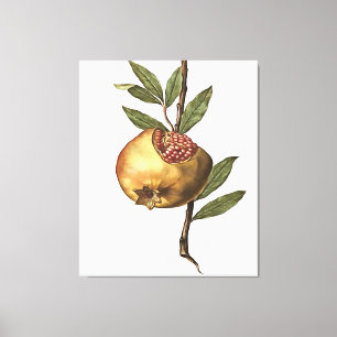 Mediterrane pomegranaatvruchten en zaden canvas afdruk