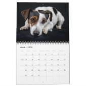 Medium Size Dog Lovers Calendar Kalender (Mar 2026)