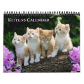Medium Size Kittens Calendar Kalender (Hoes)