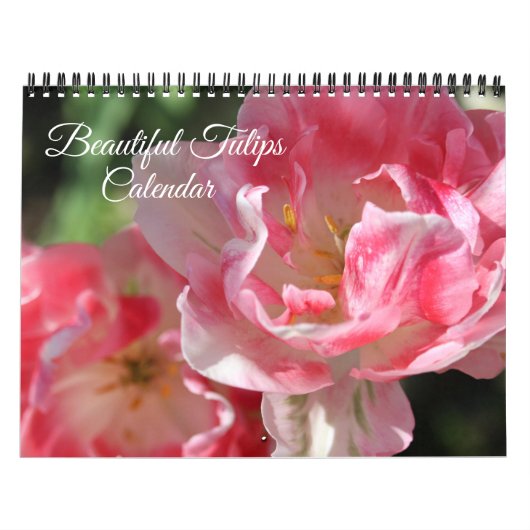 Medium Size Tulips Calendar Kalender (Hoes)