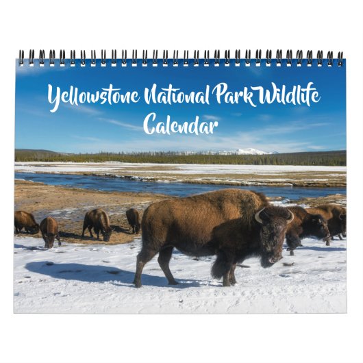 Medium Size Yellowstone Calendar-Wildlife Calendar Kalender (Hoes)