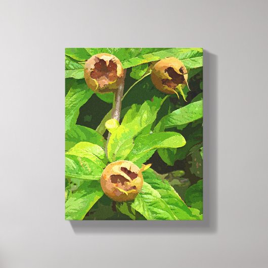 MEDLAR FRUIT CANVAS AFDRUK (Voorkant)