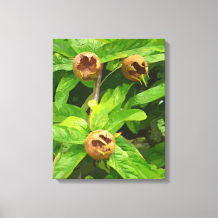 MEDLAR FRUIT CANVAS AFDRUK