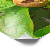 MEDLAR FRUIT FOTO AFDRUK (Hoek)