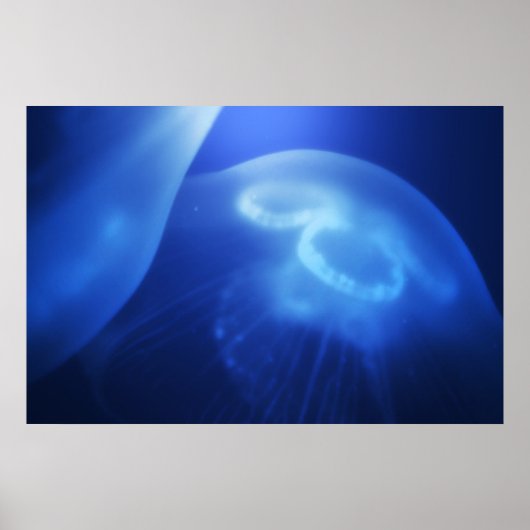 Medusa 1 poster (Voorkant)