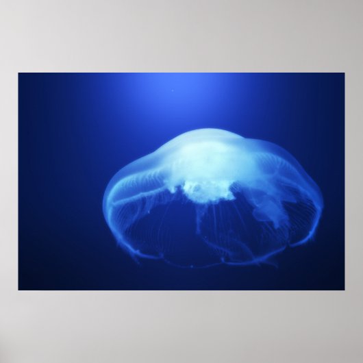 Medusa 2 poster (Voorkant)