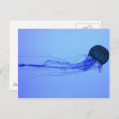 Medusa Briefkaart (Voorkant / Achterkant)