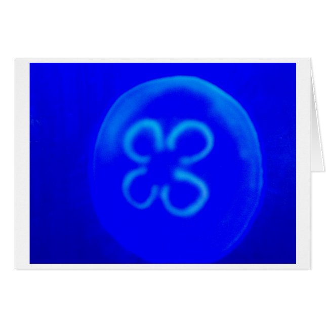 Méduse (Devant horizontal)