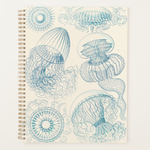 Méduse Ernst Haeckel Art scientifique vintage