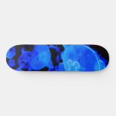 meduse skateboard (Horz)