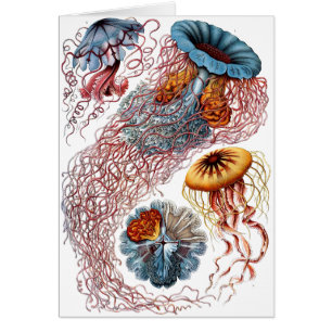 Méduses de Haeckel