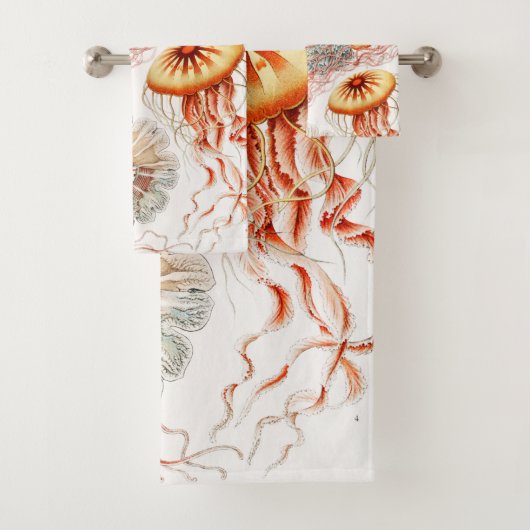 Méduses, Discomedusae par Ernst Haeckel (En situation)