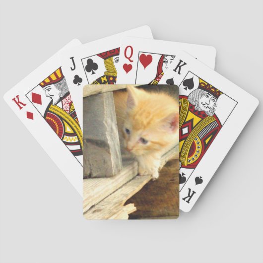 Meegeleverde katten pokerkaarten (Achterkant)