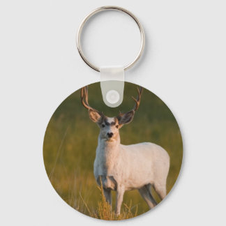Meekers White Buck 2 Sleutelhanger