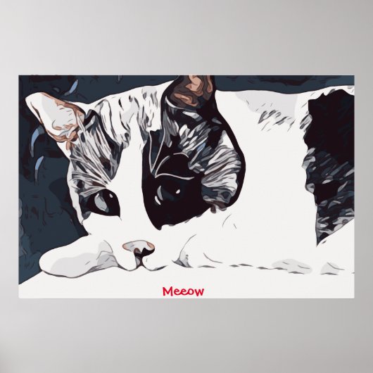 Meeow Kat Poster (Voorkant)