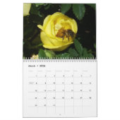 Meer beelden uit een bloementuin kalender (Mar 2026)