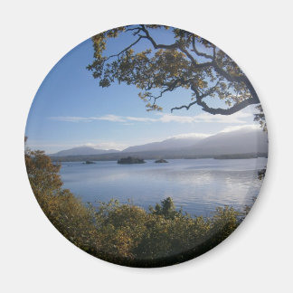 meer en bomen.JPG Magneet