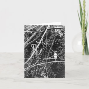 meer feestdagen kaart