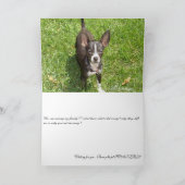 Meer foto's 008, Missing You... Kaart (Binnen)