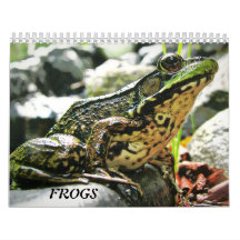 Meer FROGS!