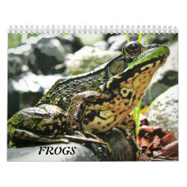 Meer FROGS! Kalender