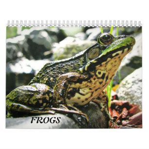 Meer FROGS! Kalender