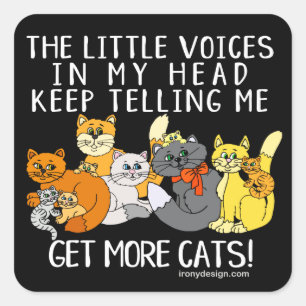 Meer katten Funny Gezegde Black Vierkante Sticker